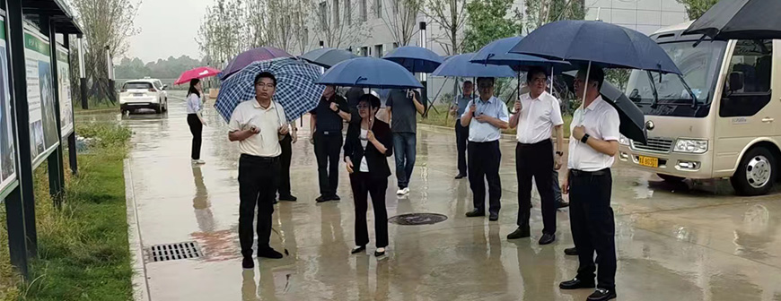 鄭州市副市長李鳳芝一行莅臨聯創種業調研隆平高科(河南)創新中心項目建設工作